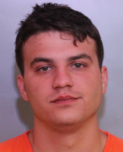 michael mcdole mugshot